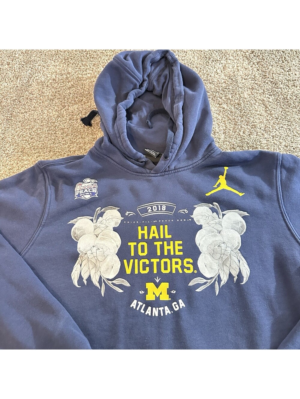 University of Michigan Wolverines Hoodie Women’s Medium Blue Pullover 2018 Nike